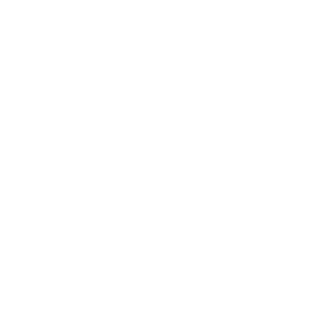 Bluesound Professional Logo White